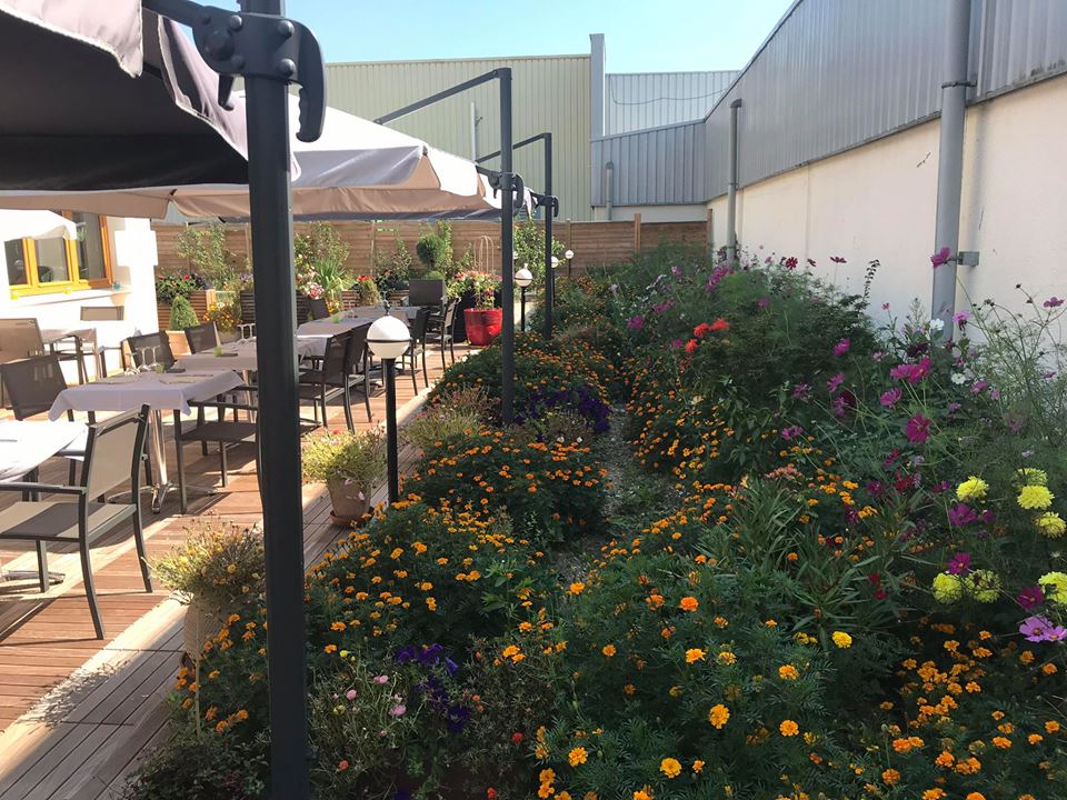 narjoud eclairage terrasse