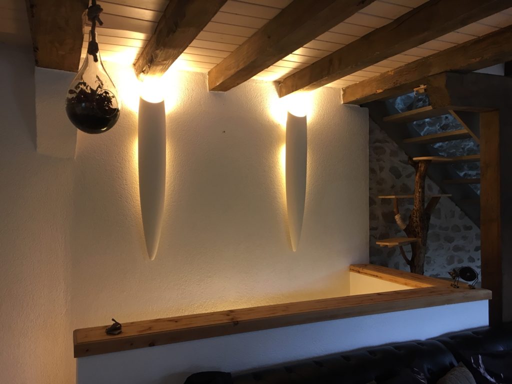 appliques vanille narjoud