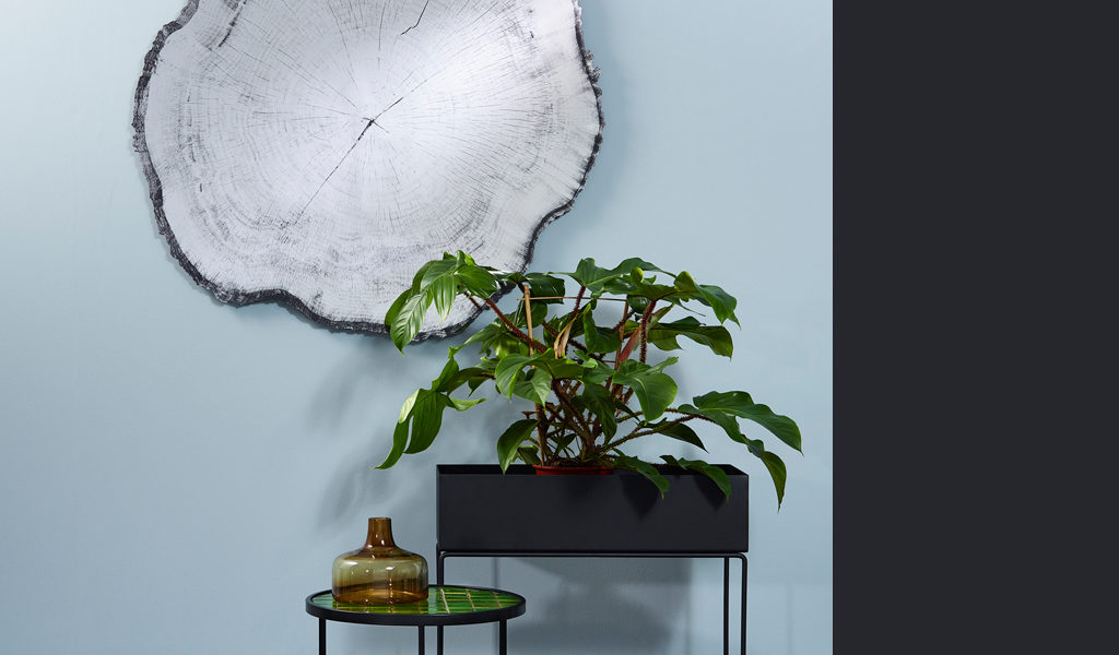 irror-tree